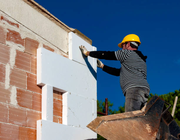 Best Insulation Replacement Services  in Point, TX