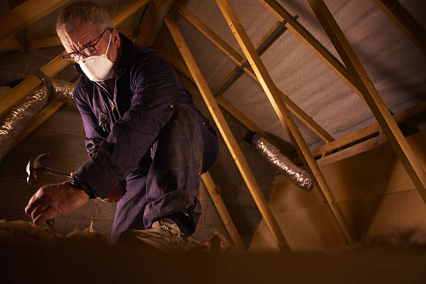 Best Insulation Removal Services  in Point, TX